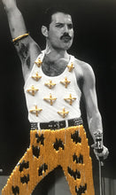 Cargar imagen en el visor de la galería, Fredy Mercury
