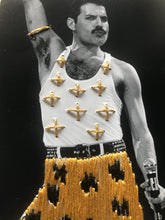 Cargar imagen en el visor de la galería, Fredy Mercury

