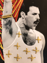 Cargar imagen en el visor de la galería, Fredy Mercury
